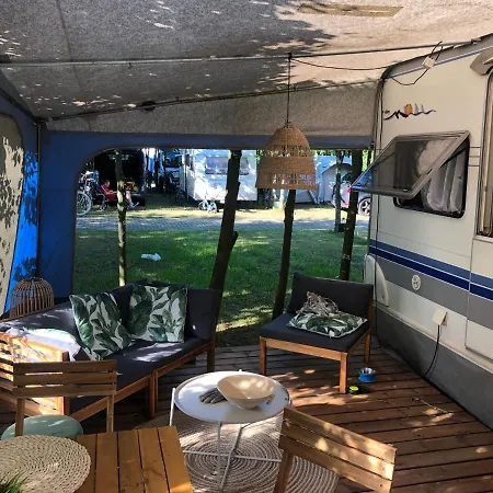 Baltic Camp *
